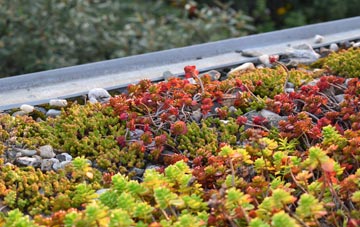 the cost of Milstead green roof installation