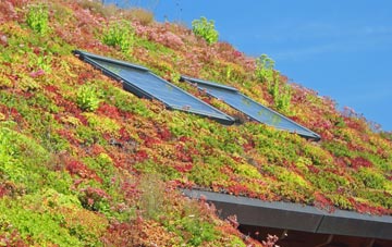 Milstead living roof systems