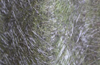 Milstead fibreglass roof work